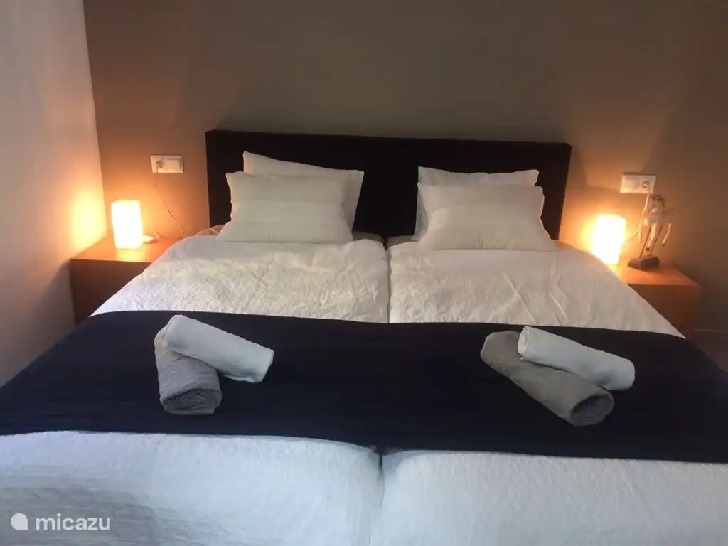 master bedroom met ensuite badkamer en toilet