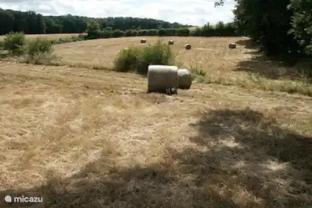 Vacation rental France, Allier, Saint-Plaisir farmhouse Domaine Le Taillis Our 2 pastures