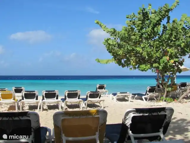 Location de Vacances Curaçao, Banda Abou (ouest), Fontein, villa - Villa Paradis Port-Marie