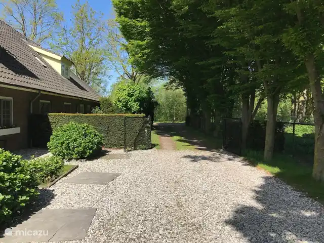Sous le Toit du Brabant | Pays-Bas, Brabant-Septentrional, Mierlo - bungalow allée