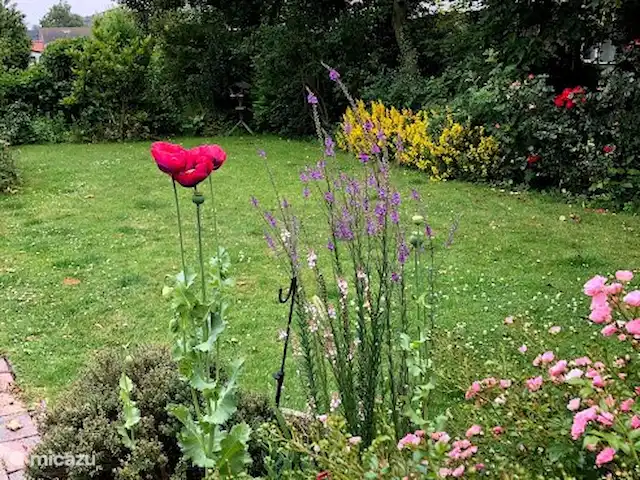 Joossesweg 201 Westkapelle | Pays-Bas, Zélande, Westkapelle - bungalow jardin d'été