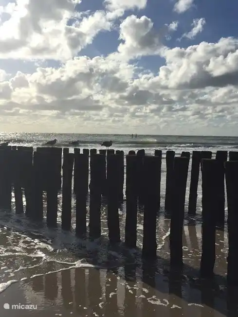 Strand von Westkapelle
