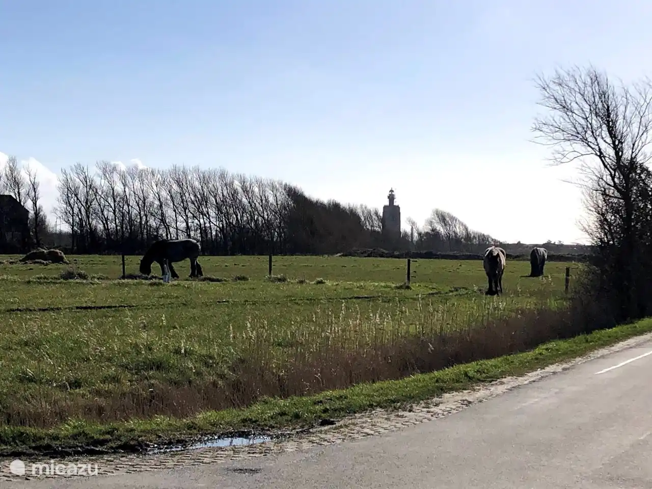 omgeving Westkapelle