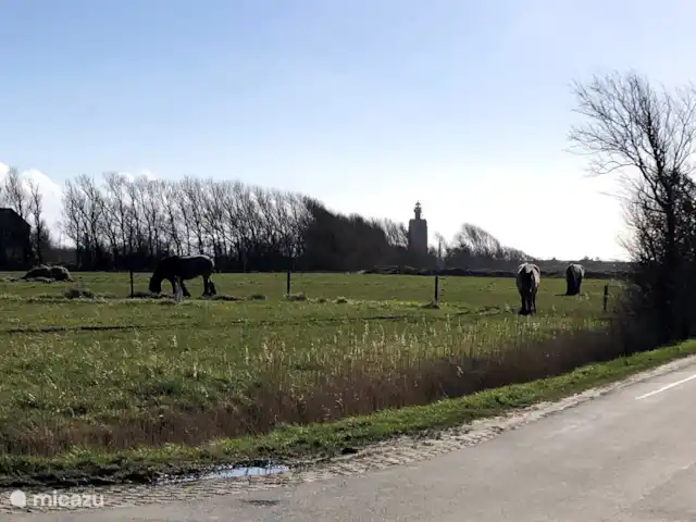 Joossesweg 201 Westkapelle | Pays-Bas, Zélande, Westkapelle - bungalow Région de Westkapelle