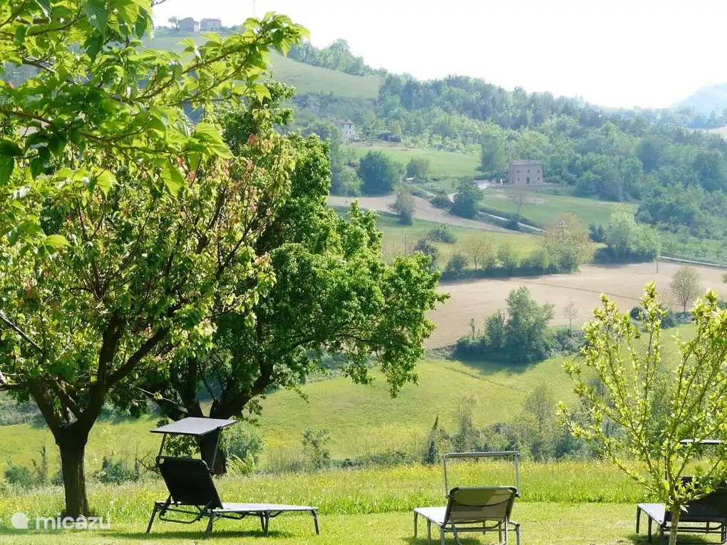 Vous êtes sur un terrain de 6500m2