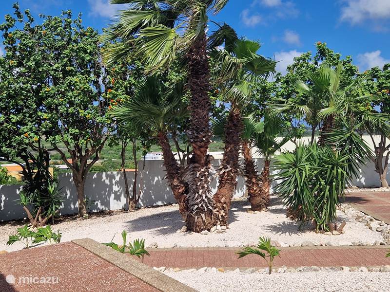Ferienwohnung Curaçao, Banda Ariba (Ost), Seru Bottelier Appartement Casa Maron Wohnung 2
