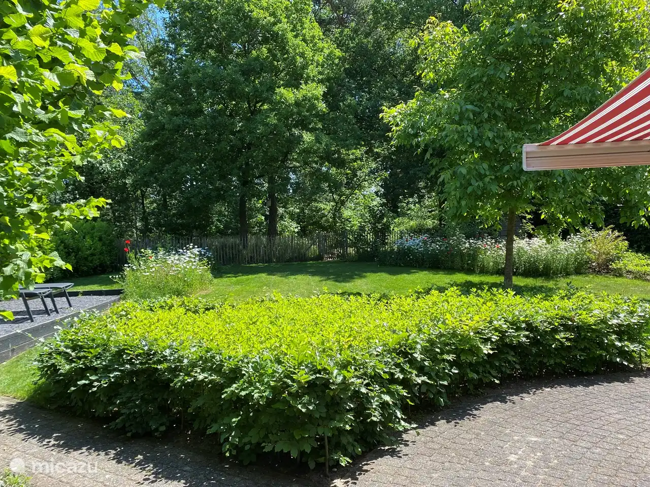  Neben einer großen Rasenfläche ist der Garten mit einer Reihe von Blumenplattformen und einem Walnussbaum angelegt, so dass im Herbst regelmäßig Eichhörnchen im Garten sind. 