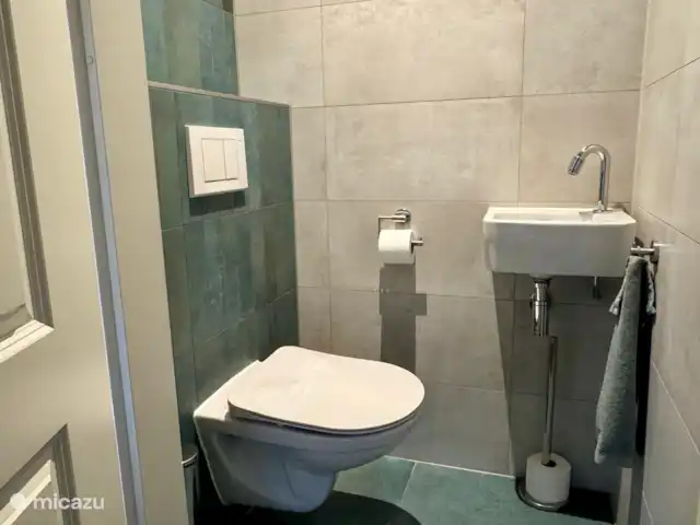 Mooi Lievelde huren in Nederland, Gelderland, Lievelde - vakantiehuis Toilet