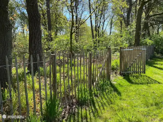 Mooi Lievelde huren in Nederland, Gelderland, Lievelde - vakantiehuis De tuin is volledig omheind. Vanuit de tuin kunt u direct het bos in lopen.