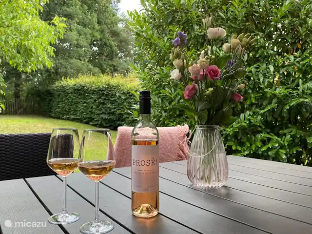 Mooi Lievelde huren in Nederland, Gelderland, Lievelde - vakantiehuis Vanaf het terras aan de achterzijde van de woning heeft u een prachtig uitzicht over de tuin en bosrand.