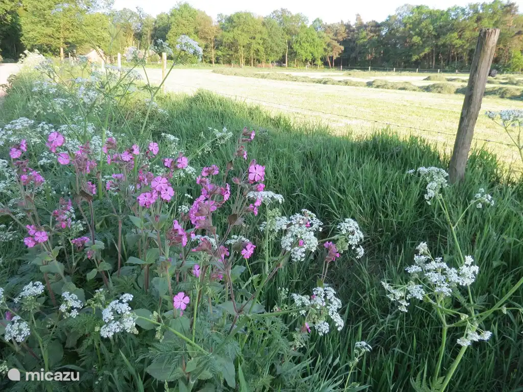 Nirgendwo sonst ist die Vielfalt der Landschaft so vielfältig: Wälder, Wiesen, Blumenränder, Bäche, Hecken, Bauernhöfe und Schlösser bilden eine wunderschöne Landschaft. 