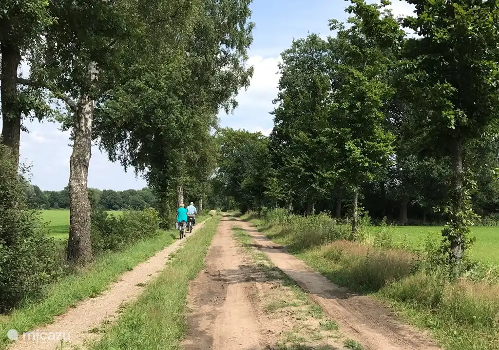 Lievelde liegt an einem der schönsten Orte im Achterhoek. Umgeben von grüner Ruhe von weiten Wäldern und Wiesen und historischen Städten. Ausgangspunkt für viele Rad- und Wanderrouten. 