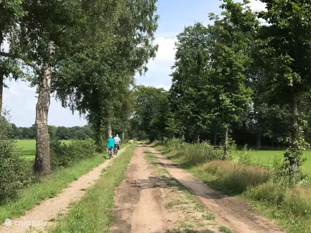 Mooi Lievelde huren in Nederland, Gelderland, Lievelde - vakantiehuis Lievelde ligt op één van de mooiste plekjes die de Achterhoek rijk is. Omgeven door groene rust van uitgestrekte bossen en weilanden en historische plaatsjes. Startpunt voor veel fiets en wandelroutes.