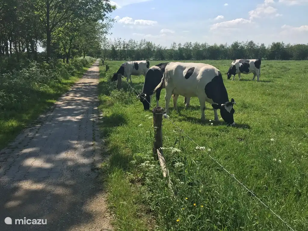 Im Achterhoek finden Sie viele Aktivitäten für die ganze Familie. Für Groß und Klein gibt es in unmittelbarer Nähe viel zu entdecken und zu erleben. 