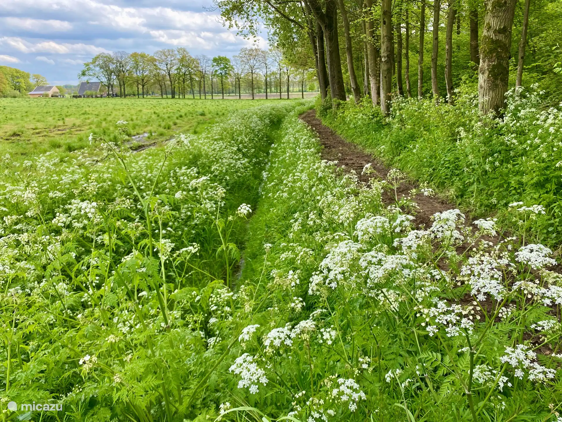 Verschiedene Rad- und Wanderwege beginnen vom Ferienhaus aus. Auch Mountainbiker und Radfahrer können sich hier austoben. Die Ausfahrt 33 befindet sich neben dem Park. 