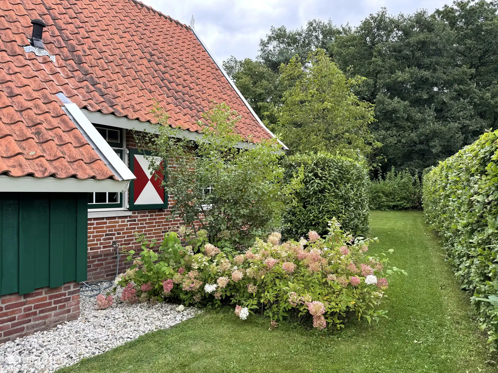 Am Rande des Waldes.