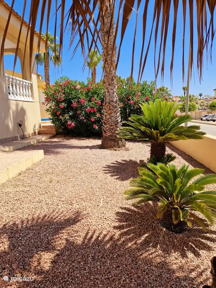 Schöner Vorgarten mit viel Platz