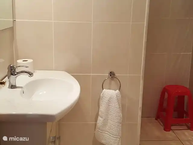 Villa Casa Benimar Rojales en España, Costa Blanca, Rojales  - villa baño del sótano