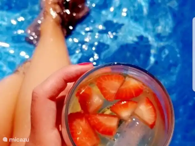 Villa Casa Benimar Rojales en España, Costa Blanca, Rojales  - villa Disfruta de deliciosos cócteles en tu propia piscina