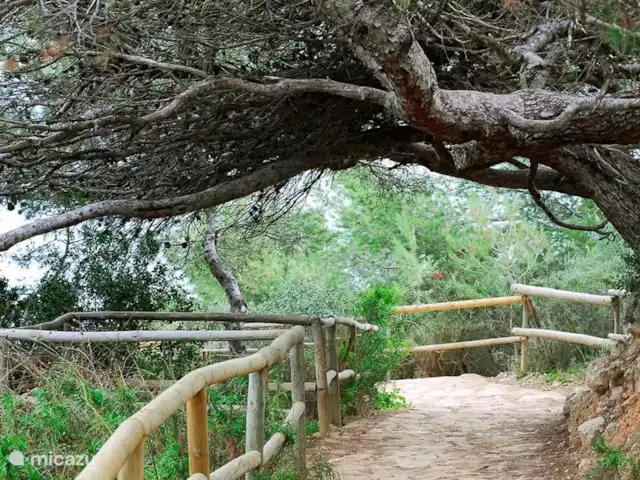 Villa Casa Benimar Rojales en España, Costa Blanca, Rojales  - villa Hay mucho para quedarse y descubrir en el área inmediata. De la naturaleza a los duros deportes al aire libre