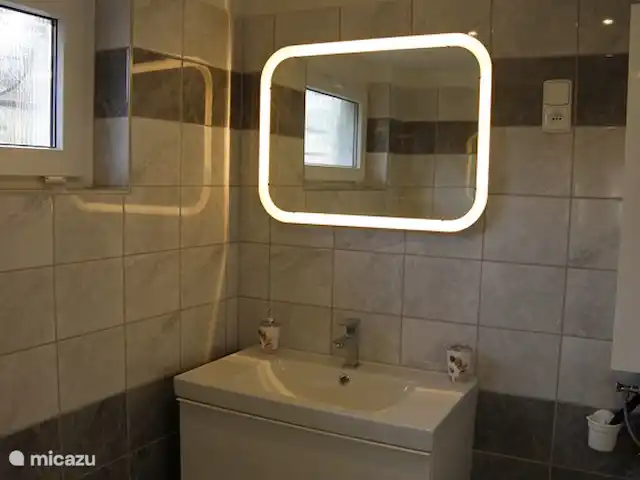 gîte / cottage huren in Tsjechië, Liberec, Levousy – Cottage Levousy Badkamer met douche en toilet