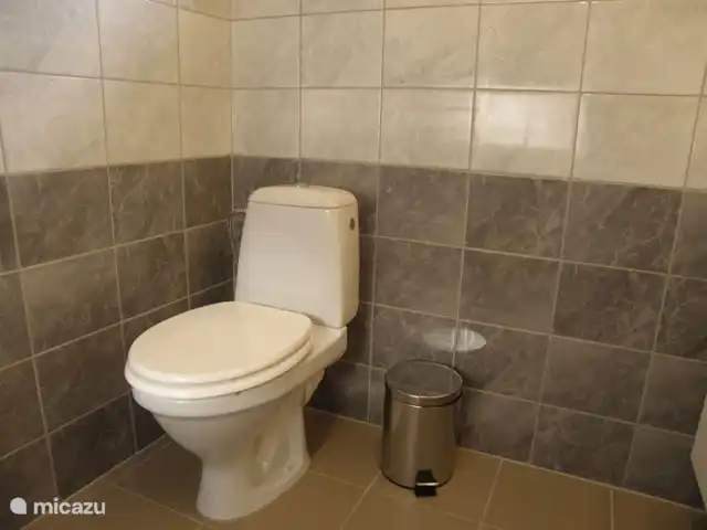 gîte / cottage huren in Tsjechië, Liberec, Levousy – Cottage Levousy Toilet in de badkamer