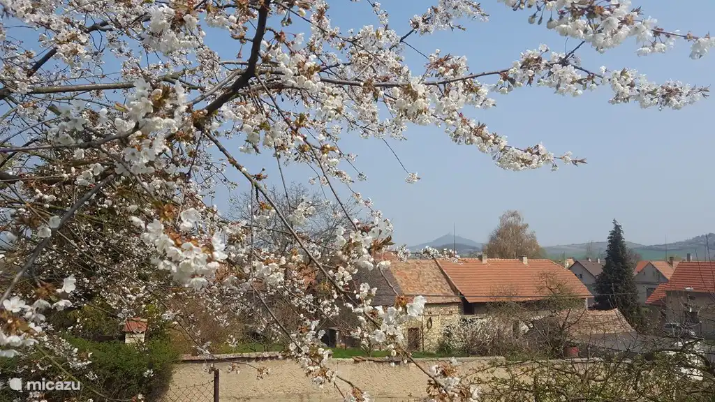 View from our orchard over the village towards Hrad Hazmburg