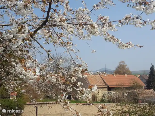 gîte / cottage huren in Tsjechië, Liberec, Levousy – Cottage Levousy Uitzicht vanuit onze boomgaard over het dorp richting Hrad Hazmburg