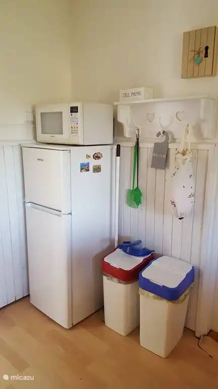 Fridge with freezer and microwave.