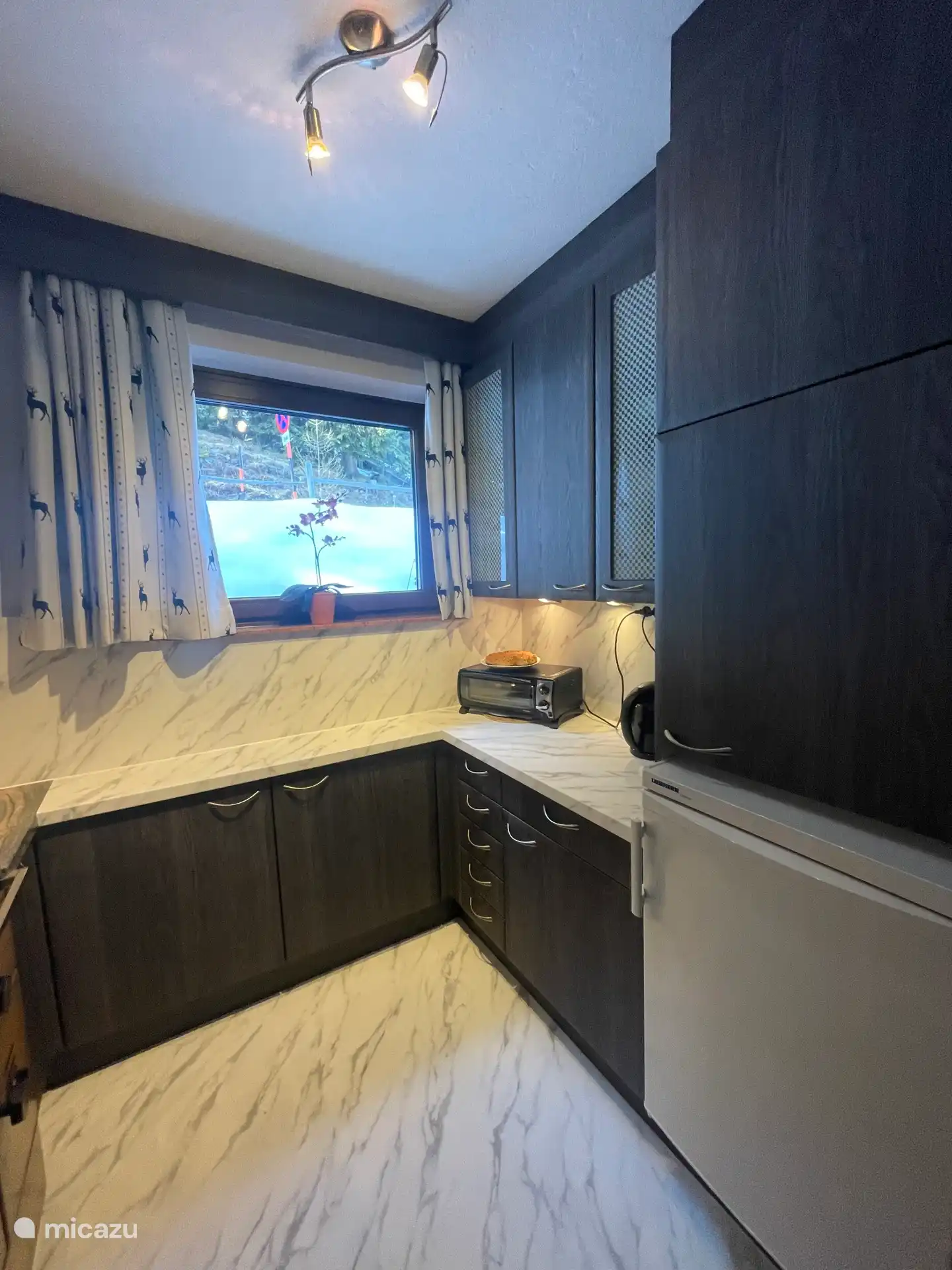 de keuken met de koelkast met vriesvak een klein oventje om broodjes af te bakken