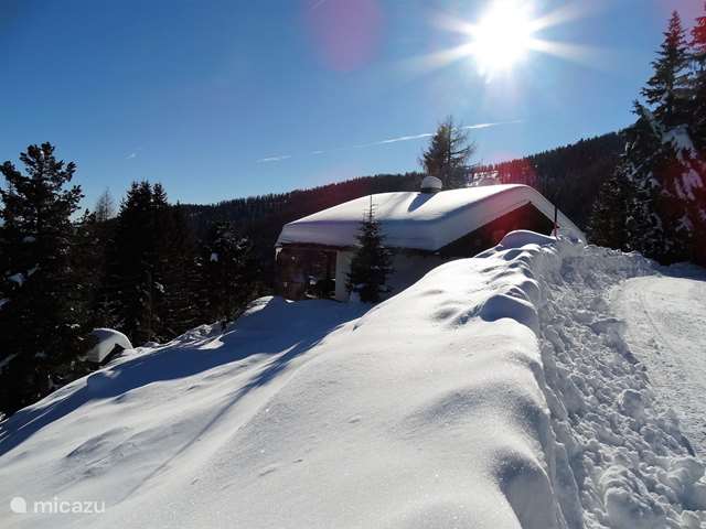 Holiday home in Austria, Carinthia, Hochrindl - chalet Lotte
