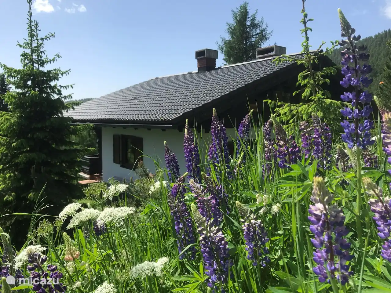 Die Schönheit der Blumen ist im Frühling und Sommer überwältigend.
