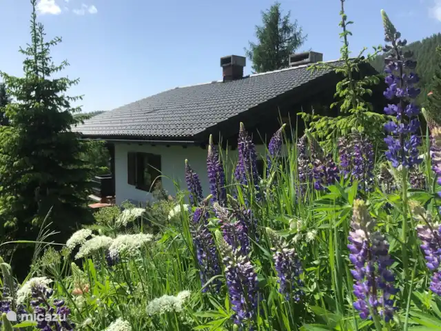 Lotte | Autriche, Carinthie, Hochrindl - chalet La splendeur florale est écrasante au printemps et en été.