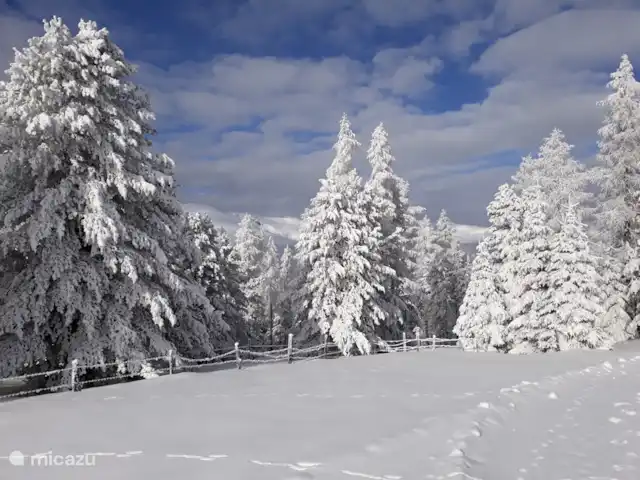 Lotte | Autriche, Carinthie, Hochrindl - chalet paysage d'hiver