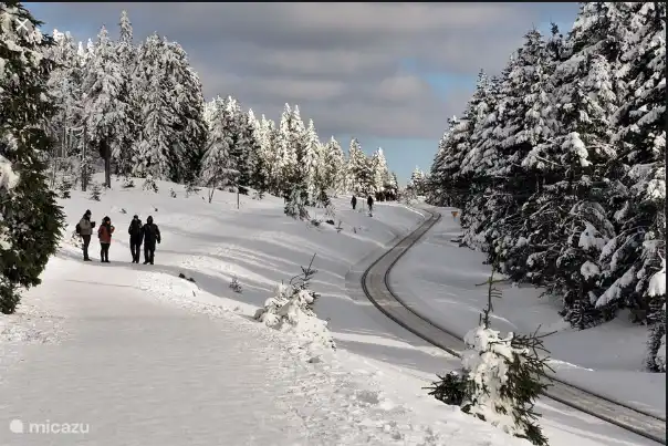 Hiking to the top of the Brockenberg.