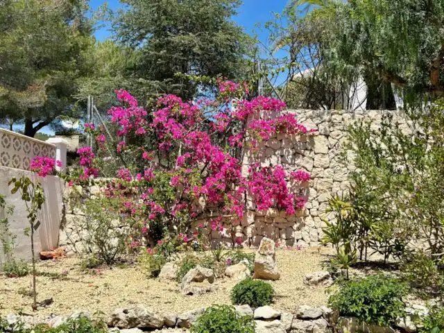 Location de Vacances Espagne, Costa Blanca, Benitachell, villa - Les Fonts Benitachell, Alicante Arrière-cour