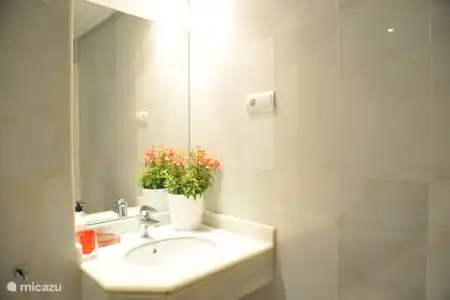 Vakantiehuis Spanje, Costa del Sol, Estepona appartement Mirador de la Cala Master badkamer