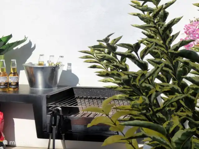 CostaCabana - Villa Fransisca huren in Spanje, Costa Brava, Lloret de Mar - villa Barbecue