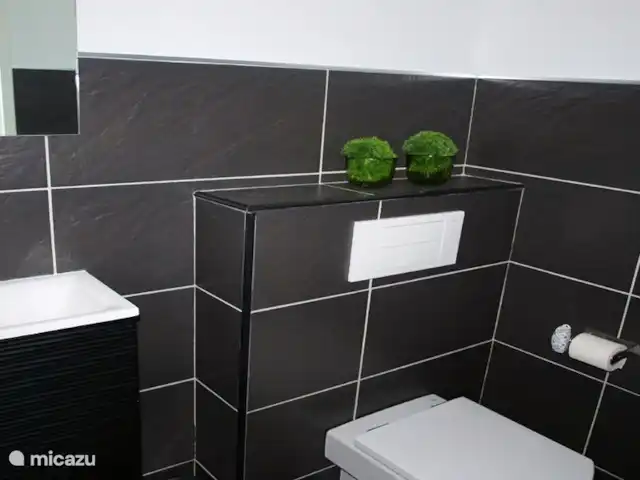 CostaCabana - Villa Fransisca huren in Spanje, Costa Brava, Lloret de Mar - villa Apart toilet