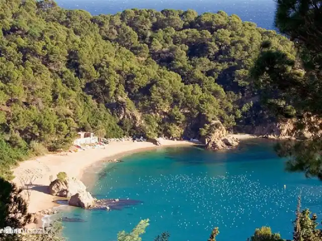 CostaCabana - Villa Fransisca huren in Spanje, Costa Brava, Lloret de Mar - villa Strand Cala Santa Cristina