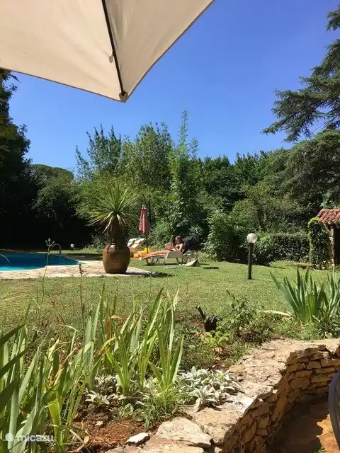 Détendez-vous merveilleusement à l'abri au bord de la piscine
