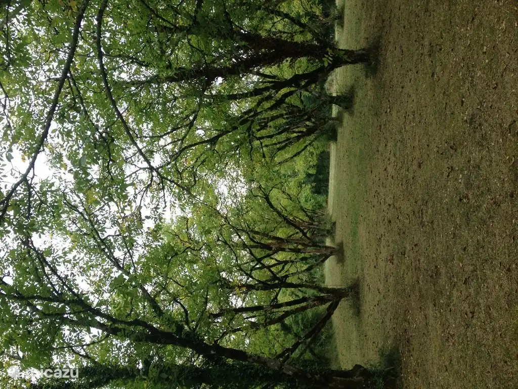 Bouysset compte des centaines de noyers, merveilleux pour se promener....