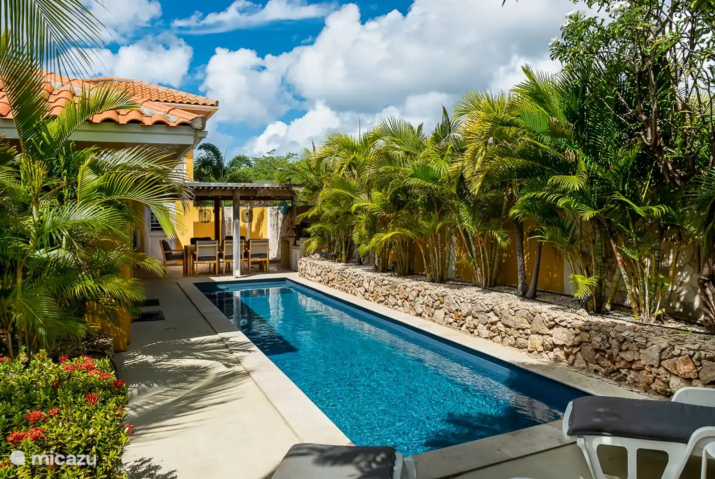 Het zwembad ( 9.40 m. x 2.30 m x 1.50 m ) is in 2021 geheel vernieuwd. Het is nu een magnesium zwembad, lekker zacht voor de huid. S, avonds is het feeëriek  verlicht met onderwater spots. Het is lekker relaxen op de ligbedden in de zon of in de schaduw van de palmboom 