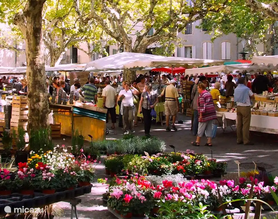 Markt in Uzes
