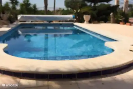 Vakantiehuis Spanje, Costa Blanca, Daya Vieja studio Studio TWENTWEL Verwarmd zwembad