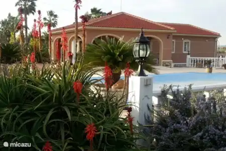 Vakantiehuis Spanje, Costa Blanca, Daya Vieja studio Studio TWENTWEL Onze finca