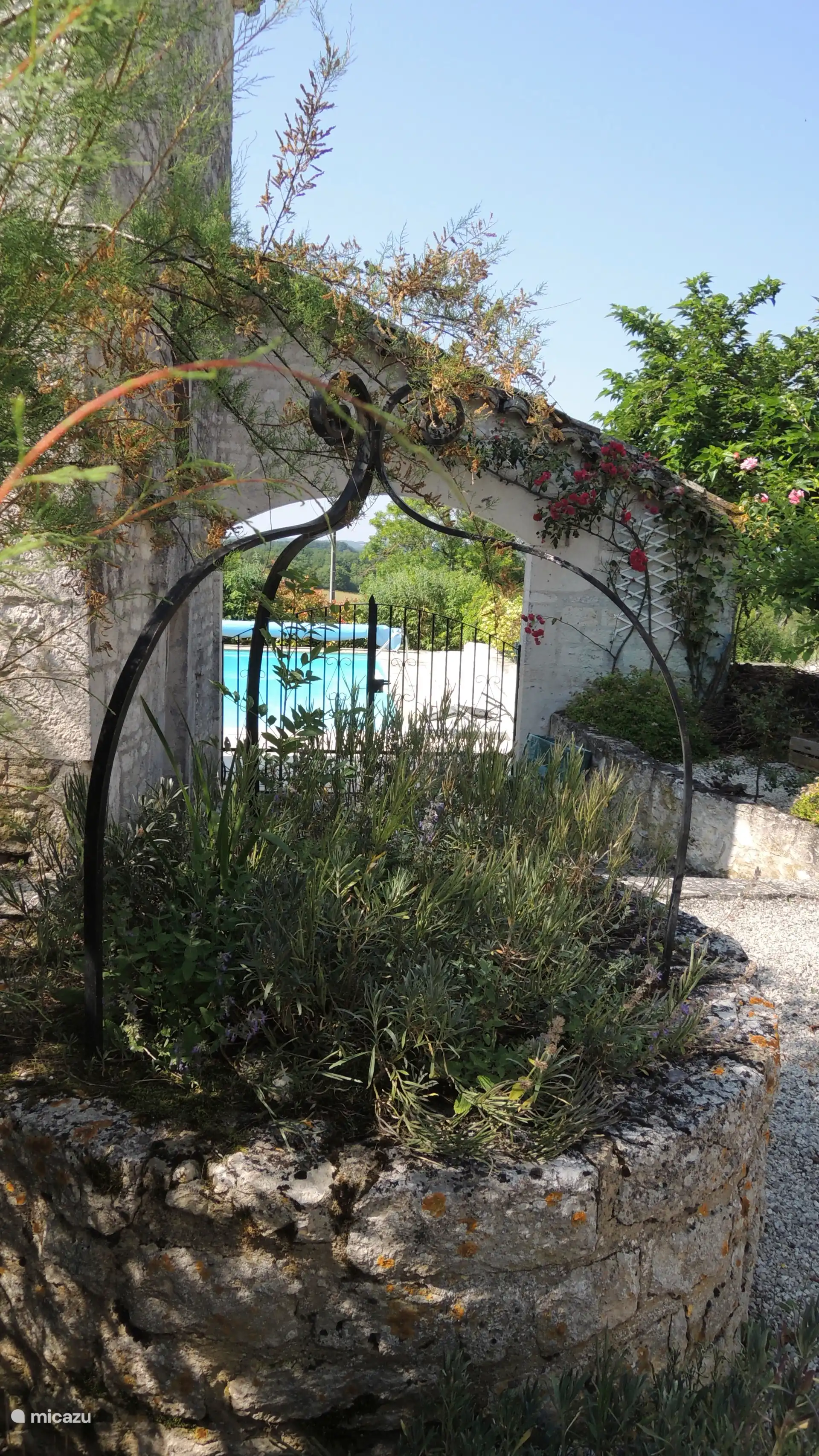 Access to the pool from the garden