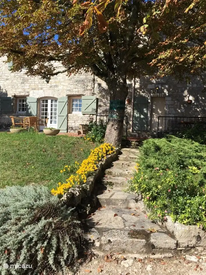 terrace of the guesthouse 