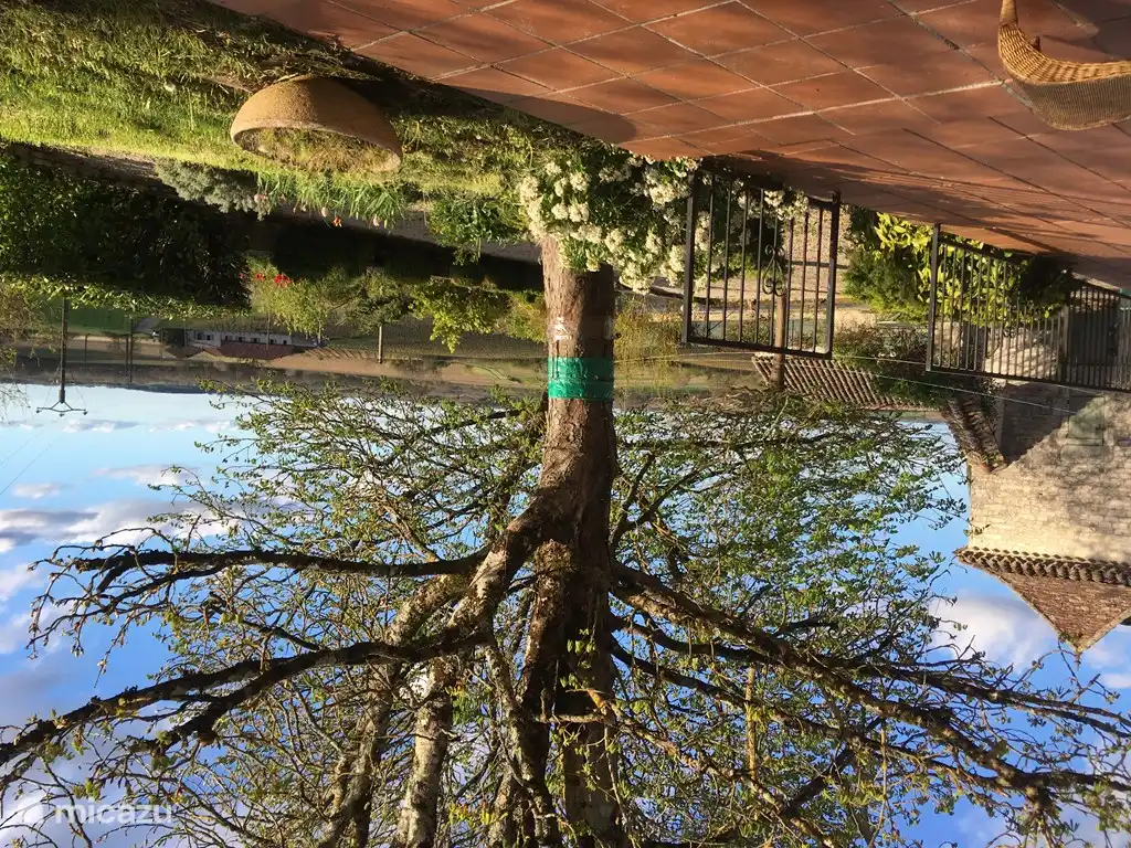 View from the terrace in autumn