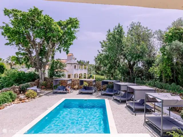 Location de Vacances Portugal, Algarve, Vale Judeu, studio - Casa do Alto 22, rez-de-chaussée app. De jolis transats au bord de la piscine